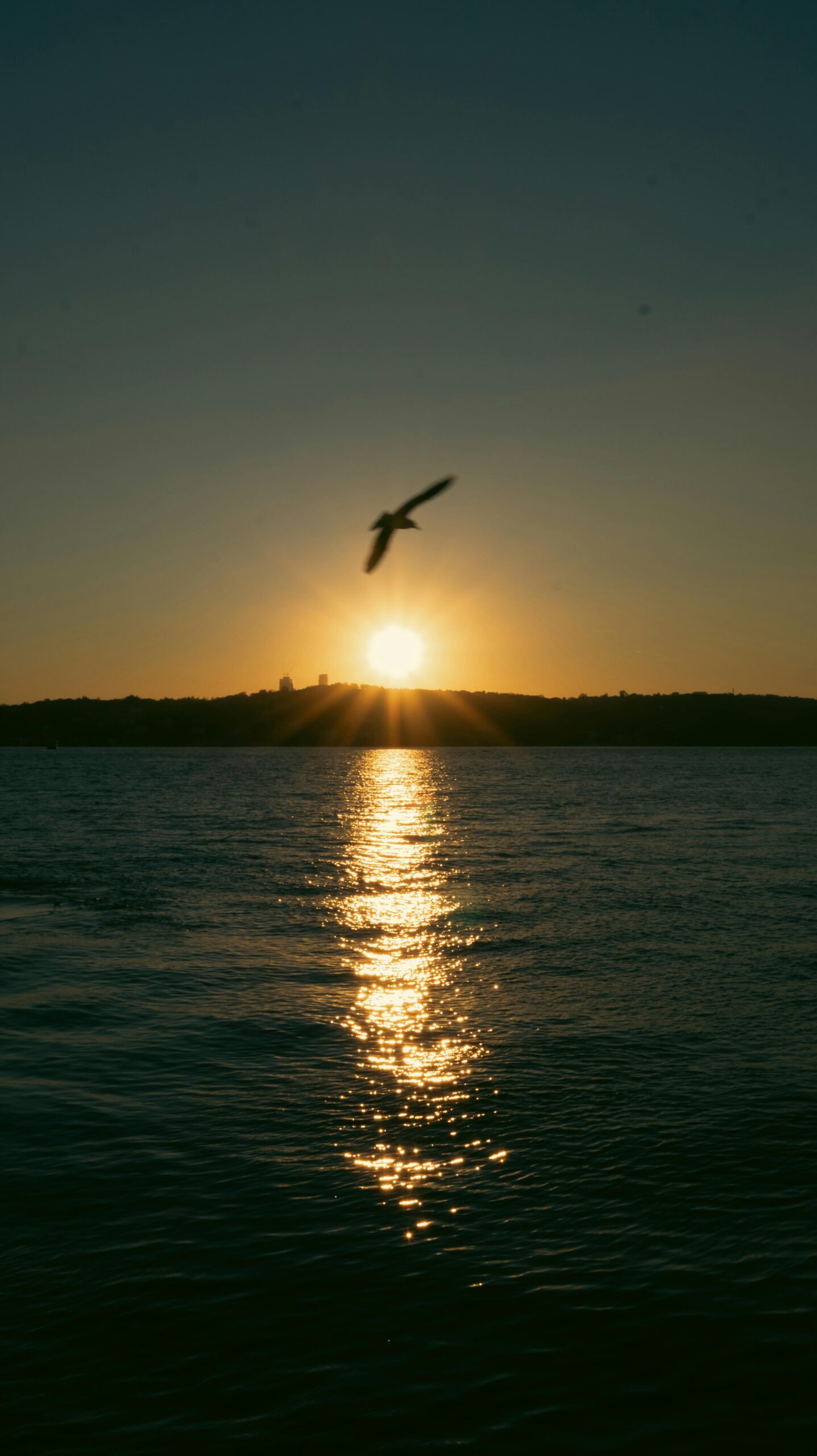 Waktu Santai dalam Rutinitas Harian